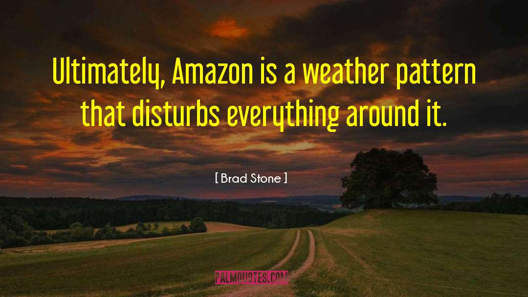 Brad Stone Quotes: Ultimately, Amazon is a weather