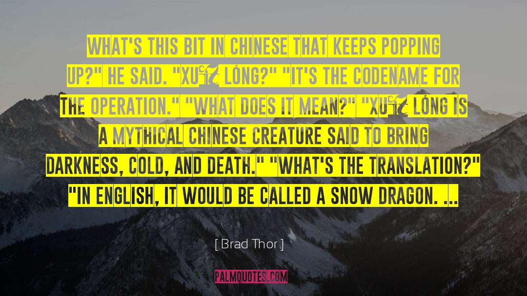 Brad Thor Quotes: What's this bit in Chinese
