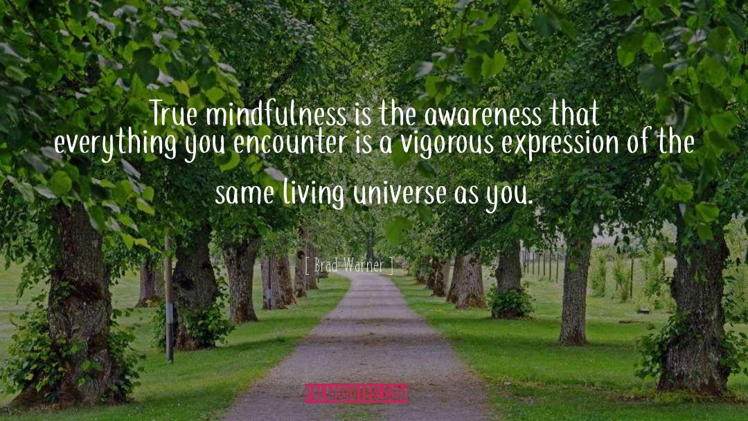 Brad Warner Quotes: True mindfulness is the awareness