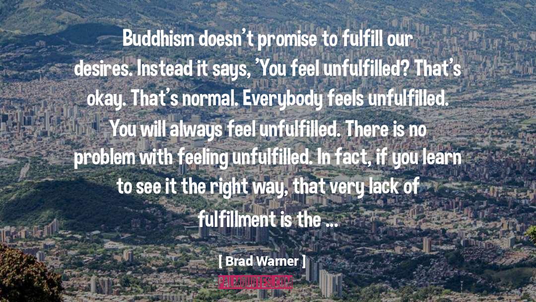 Brad Warner Quotes: Buddhism doesn't promise to fulfill