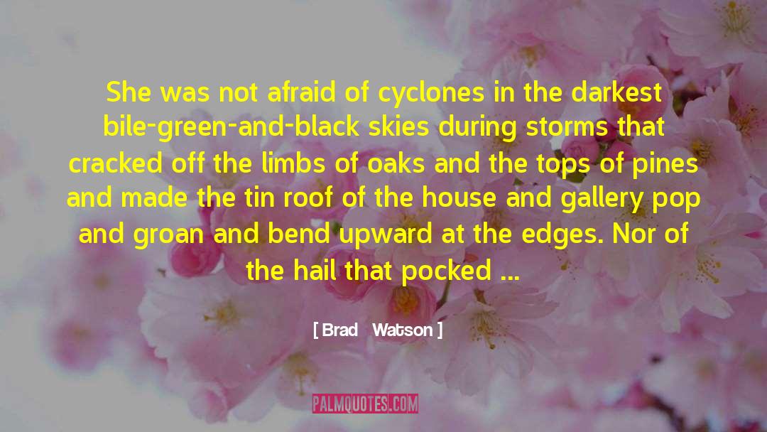 Brad   Watson Quotes: She was not afraid of