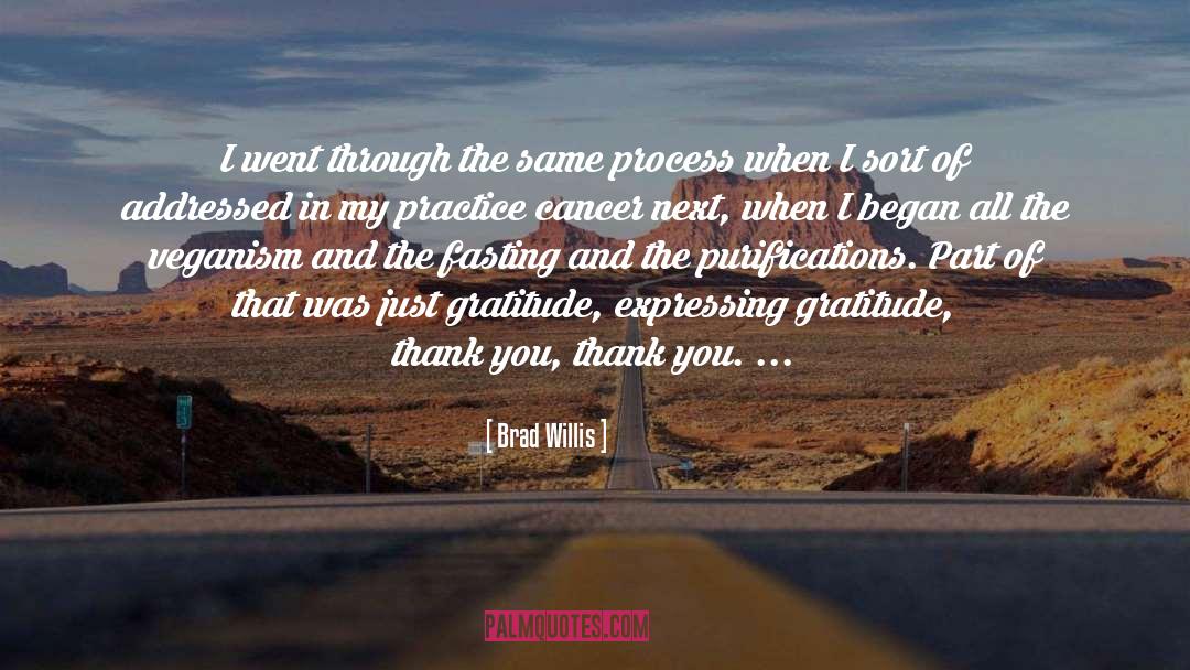 Brad Willis Quotes: I went through the same