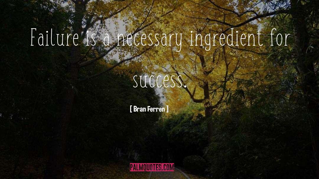 Bran Ferren Quotes: Failure is a necessary ingredient