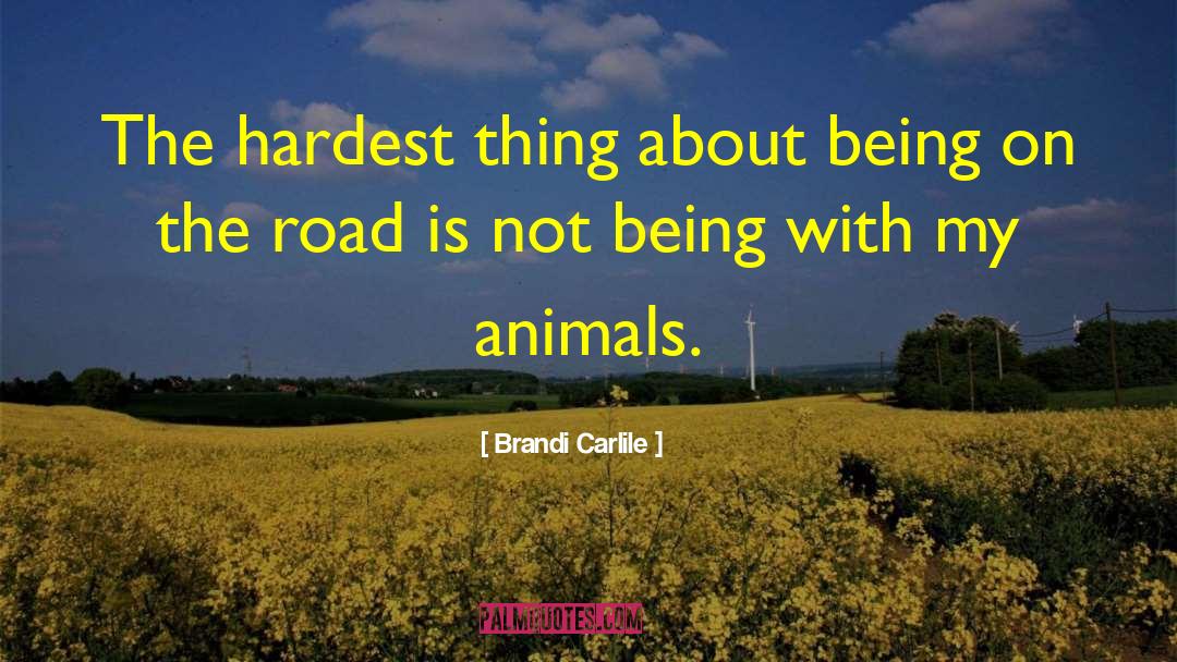 Brandi Carlile Quotes: The hardest thing about being