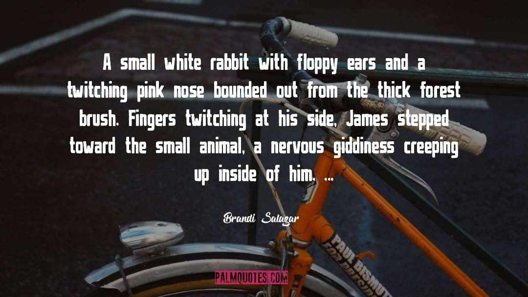 Brandi Salazar Quotes: A small white rabbit with