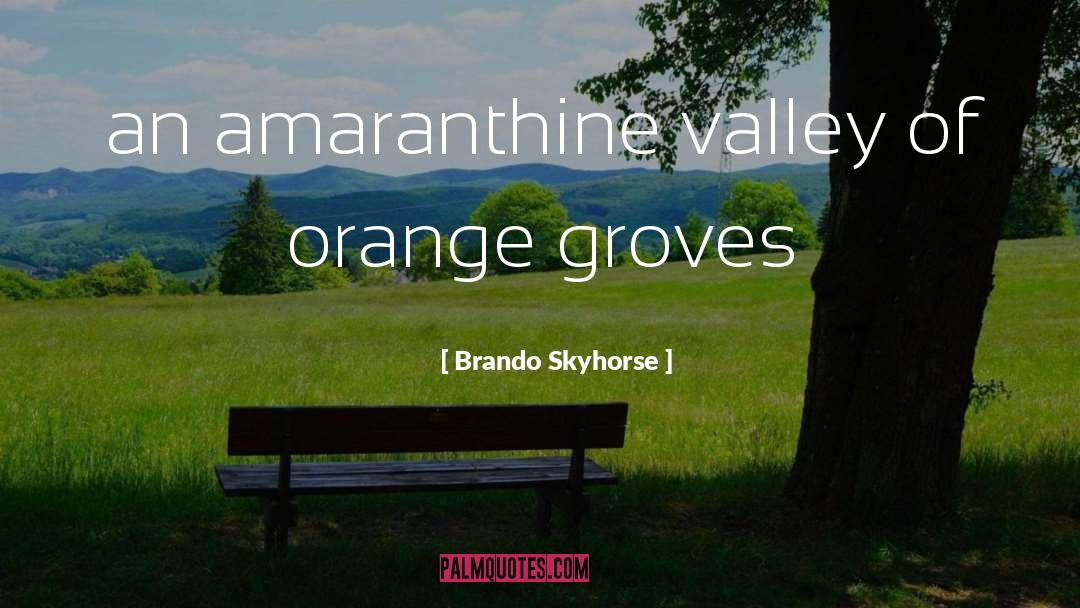 Brando Skyhorse Quotes: an amaranthine valley of orange