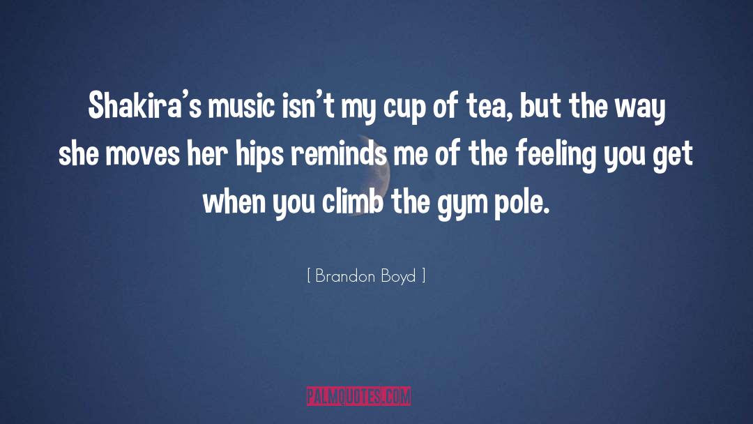 Brandon Boyd Quotes: Shakira's music isn't my cup