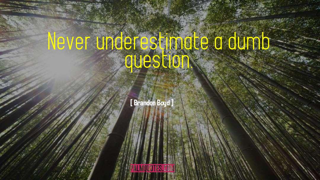 Brandon Boyd Quotes: Never underestimate a dumb question.