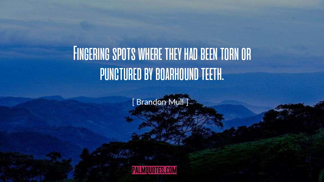 Brandon Mull Quotes: Fingering spots where they had