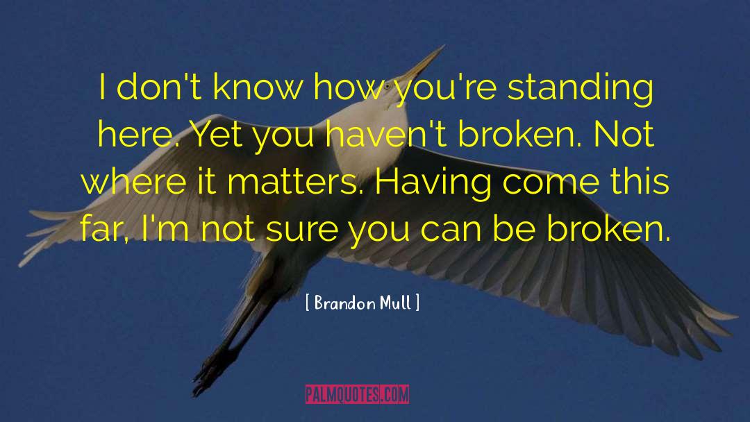 Brandon Mull Quotes: I don't know how you're