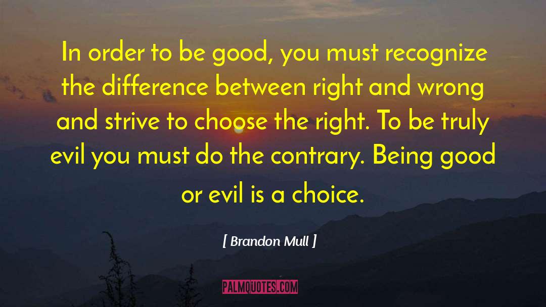 Brandon Mull Quotes: In order to be good,