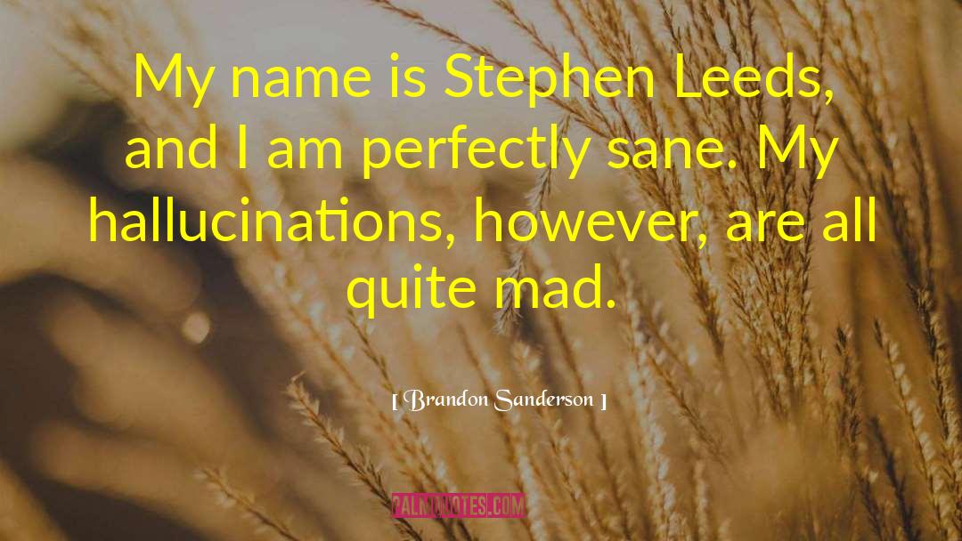 Brandon Sanderson Quotes: My name is Stephen Leeds,