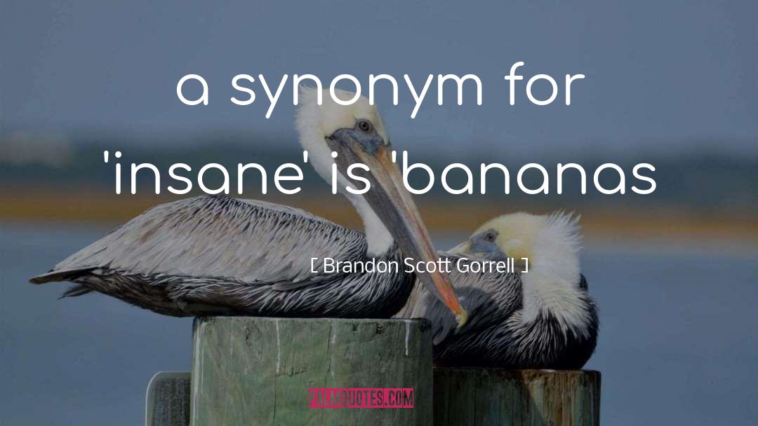 Brandon Scott Gorrell Quotes: a synonym for 'insane' is