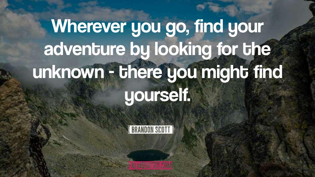 Brandon Scott Quotes: Wherever you go, find your