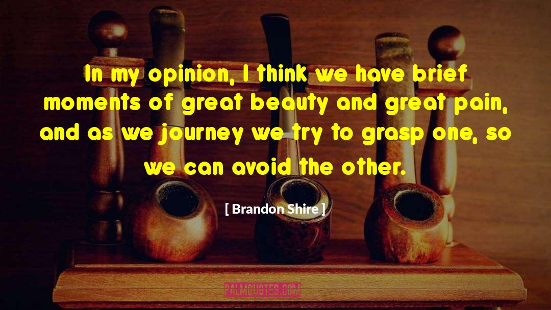 Brandon Shire Quotes: In my opinion, I think