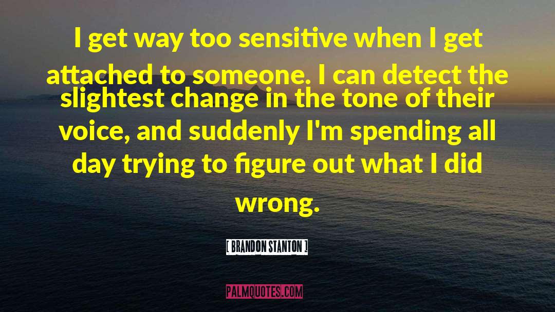 Brandon Stanton Quotes: I get way too sensitive