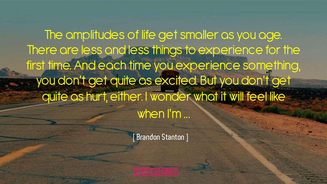 Brandon Stanton Quotes: The amplitudes of life get