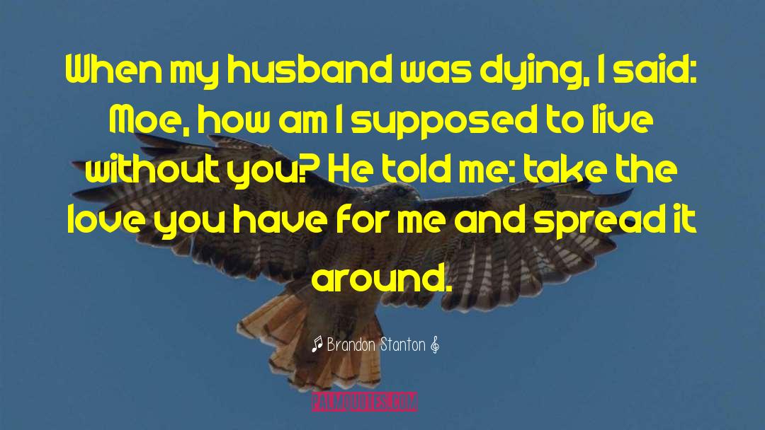 Brandon Stanton Quotes: When my husband was dying,