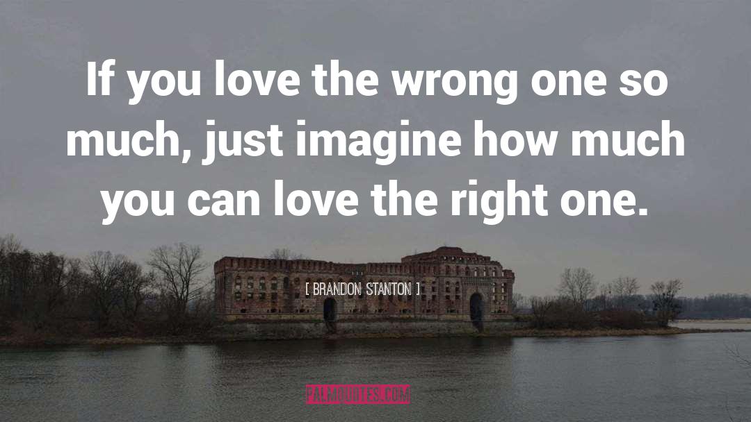 Brandon Stanton Quotes: If you love the wrong