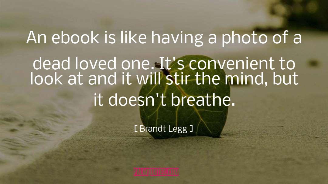 Brandt Legg Quotes: An ebook is like having