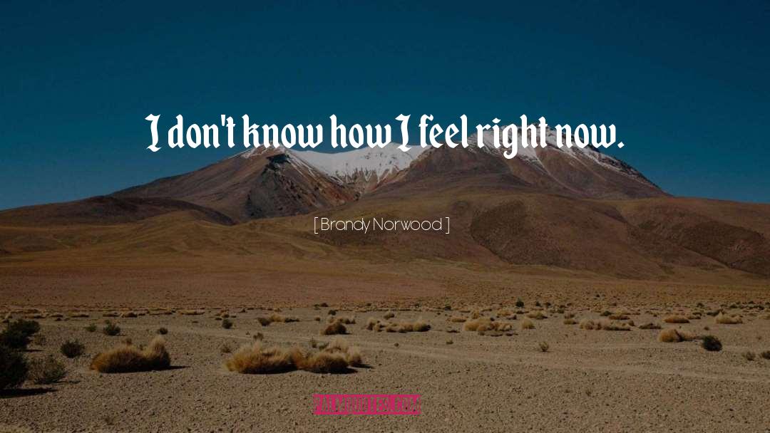 Brandy Norwood Quotes: I don't know how I