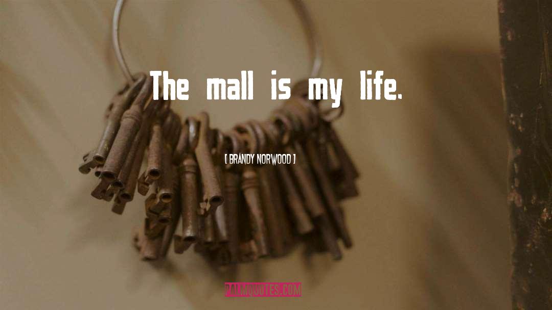 Brandy Norwood Quotes: The mall is my life.