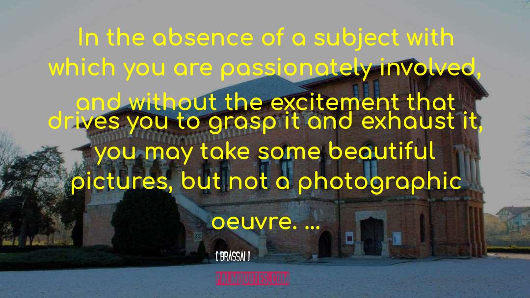 Brassai Quotes: In the absence of a