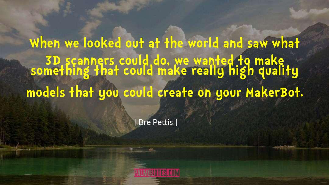 Bre Pettis Quotes: When we looked out at