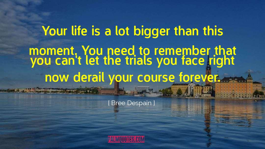 Bree Despain Quotes: Your life is a lot