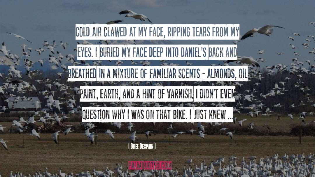 Bree Despain Quotes: Cold air clawed at my