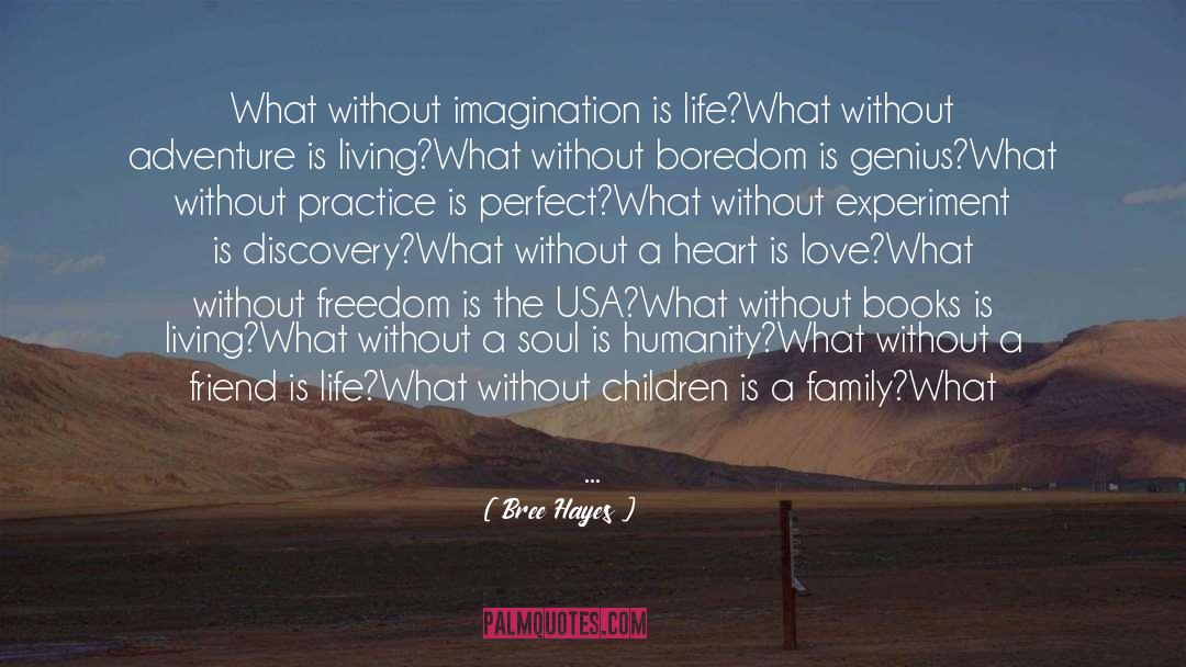 Bree Hayes Quotes: What without imagination is life?<br