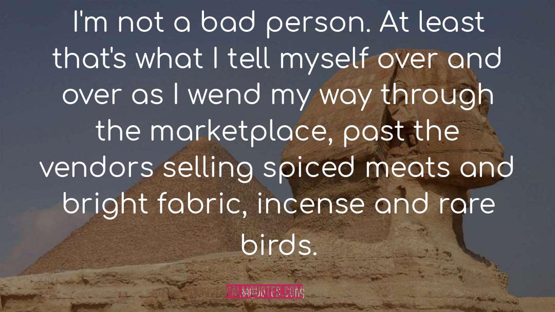 Breeana Shields Quotes: I'm not a bad person.