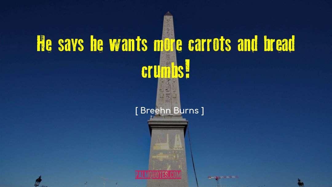 Breehn Burns Quotes: He says he wants more