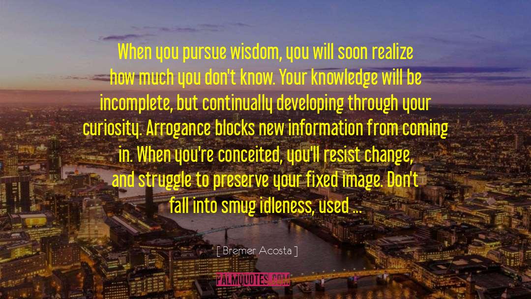 Bremer Acosta Quotes: When you pursue wisdom, you