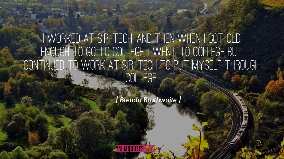 Brenda Brathwaite Quotes: I worked at Sir-Tech, and