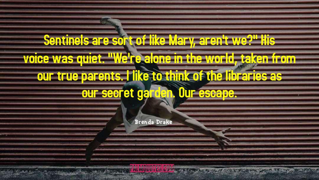 Brenda Drake Quotes: Sentinels are sort of like