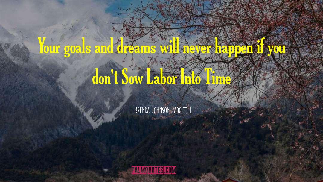 Brenda Johnson Padgitt Quotes: Your goals and dreams will