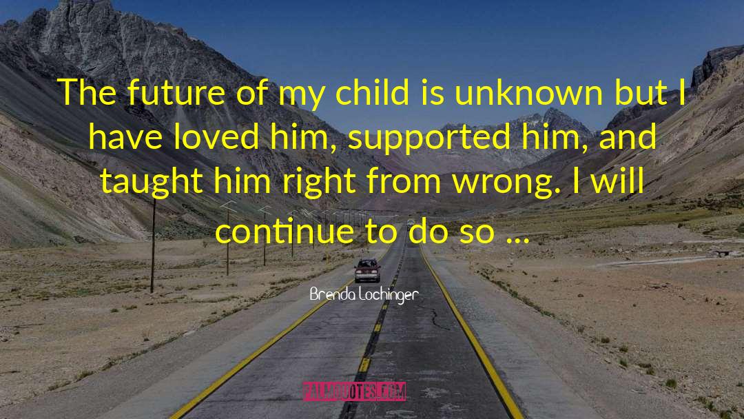 Brenda Lochinger Quotes: The future of my child