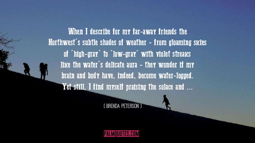 Brenda Peterson Quotes: When I describe for my