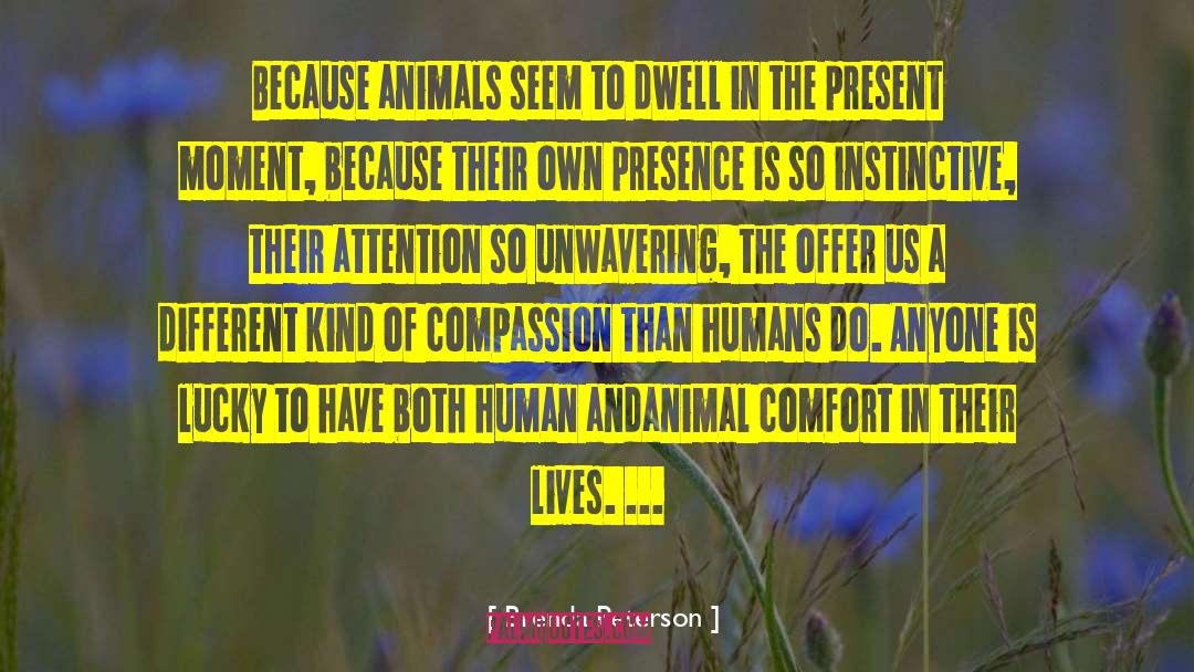 Brenda Peterson Quotes: Because animals seem to dwell