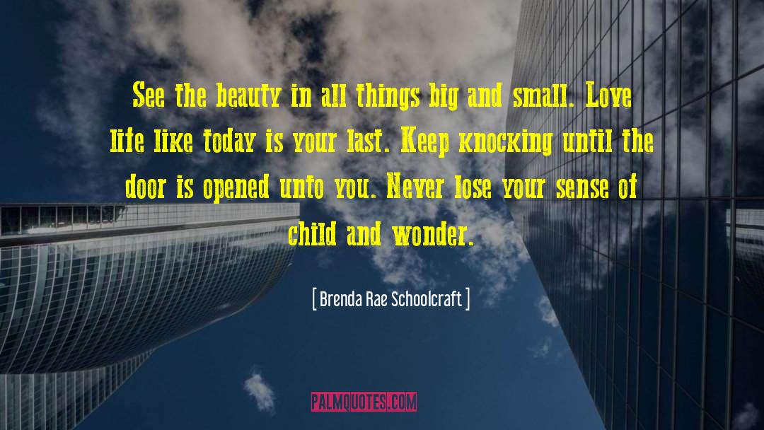 Brenda Rae Schoolcraft Quotes: See the beauty in all