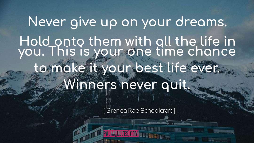 Brenda Rae Schoolcraft Quotes: Never give up on your
