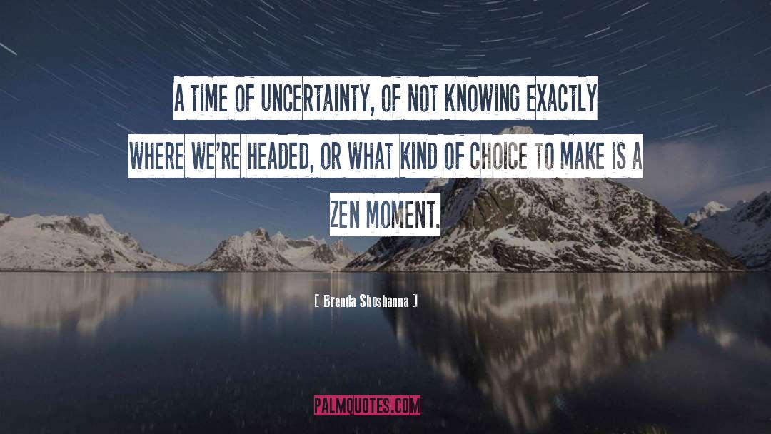 Brenda Shoshanna Quotes: A time of uncertainty, of