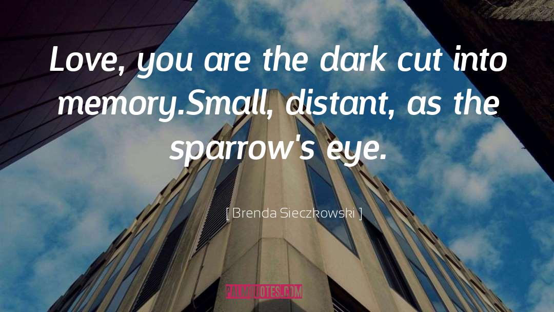 Brenda Sieczkowski Quotes: Love, you are the dark