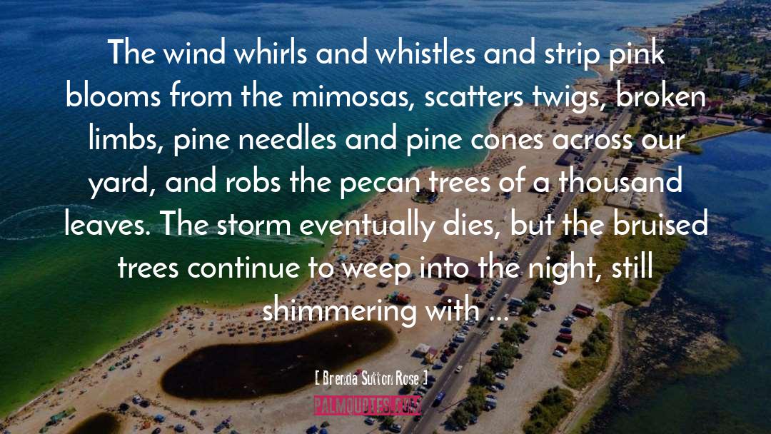 Brenda Sutton Rose Quotes: The wind whirls and whistles