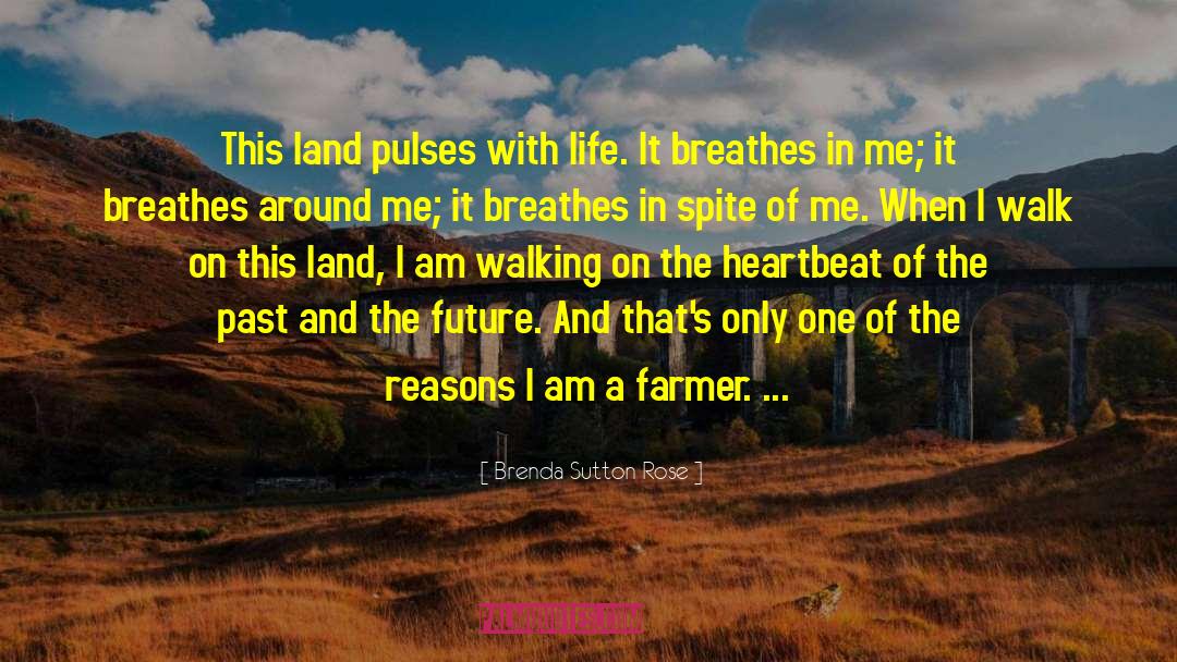 Brenda Sutton Rose Quotes: This land pulses with life.