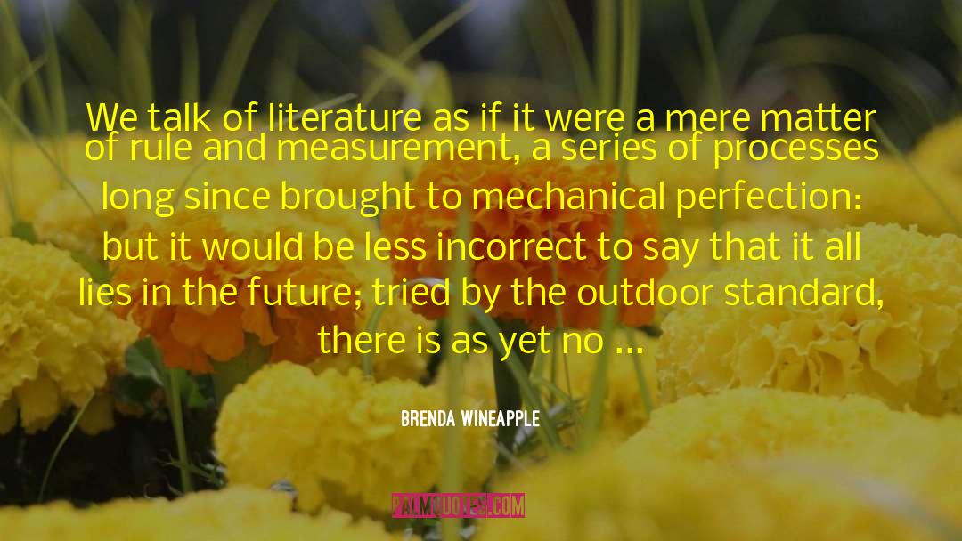 Brenda Wineapple Quotes: We talk of literature as