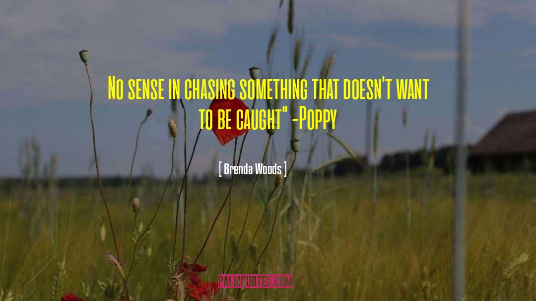 Brenda Woods Quotes: No sense in chasing something