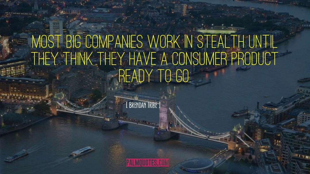 Brendan Iribe Quotes: Most big companies work in