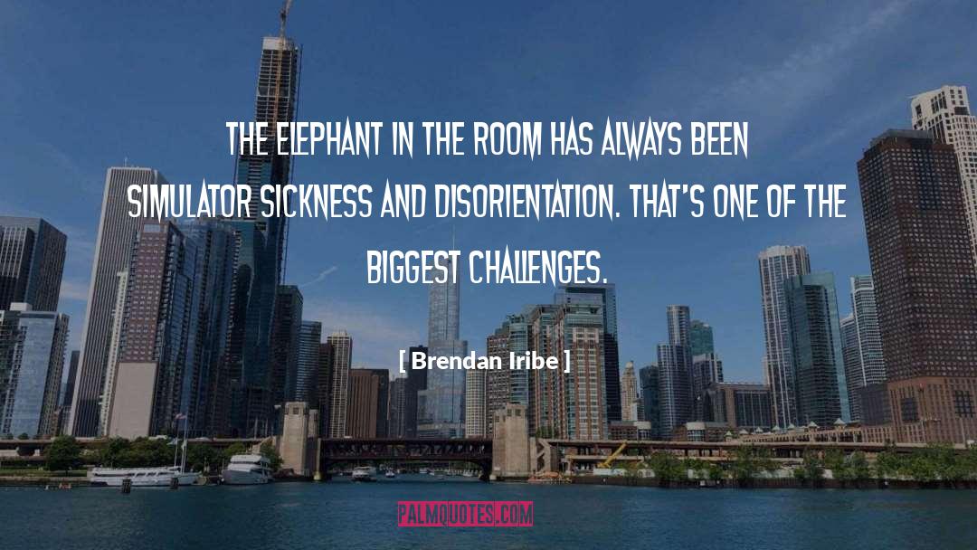 Brendan Iribe Quotes: The elephant in the room